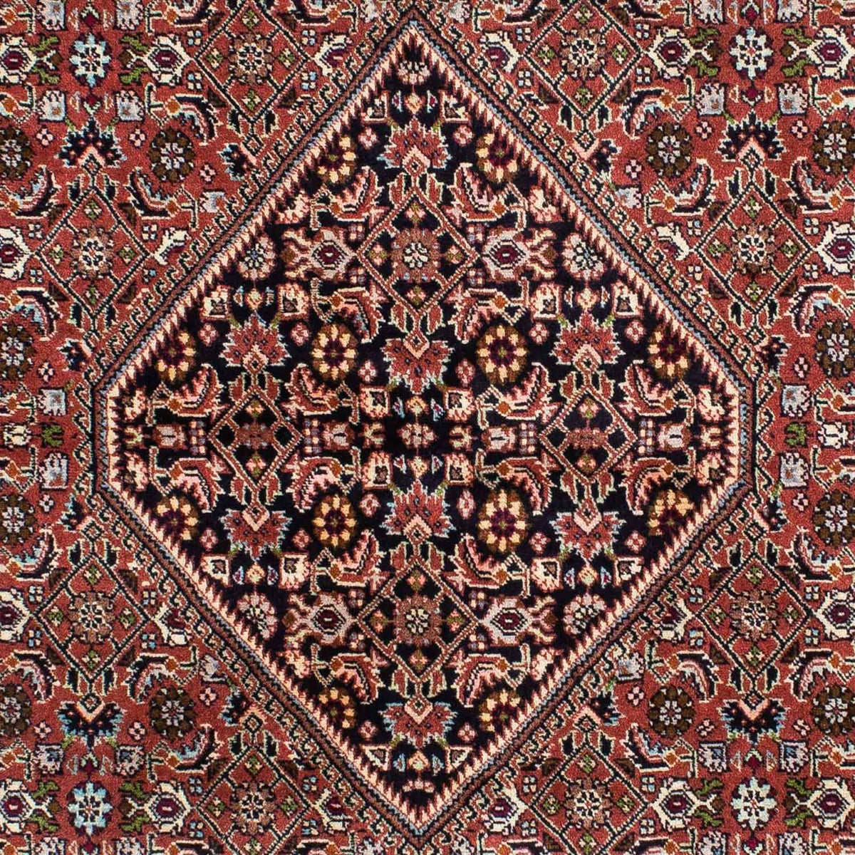 Perserteppich - Bidjar 229 x 143 cm