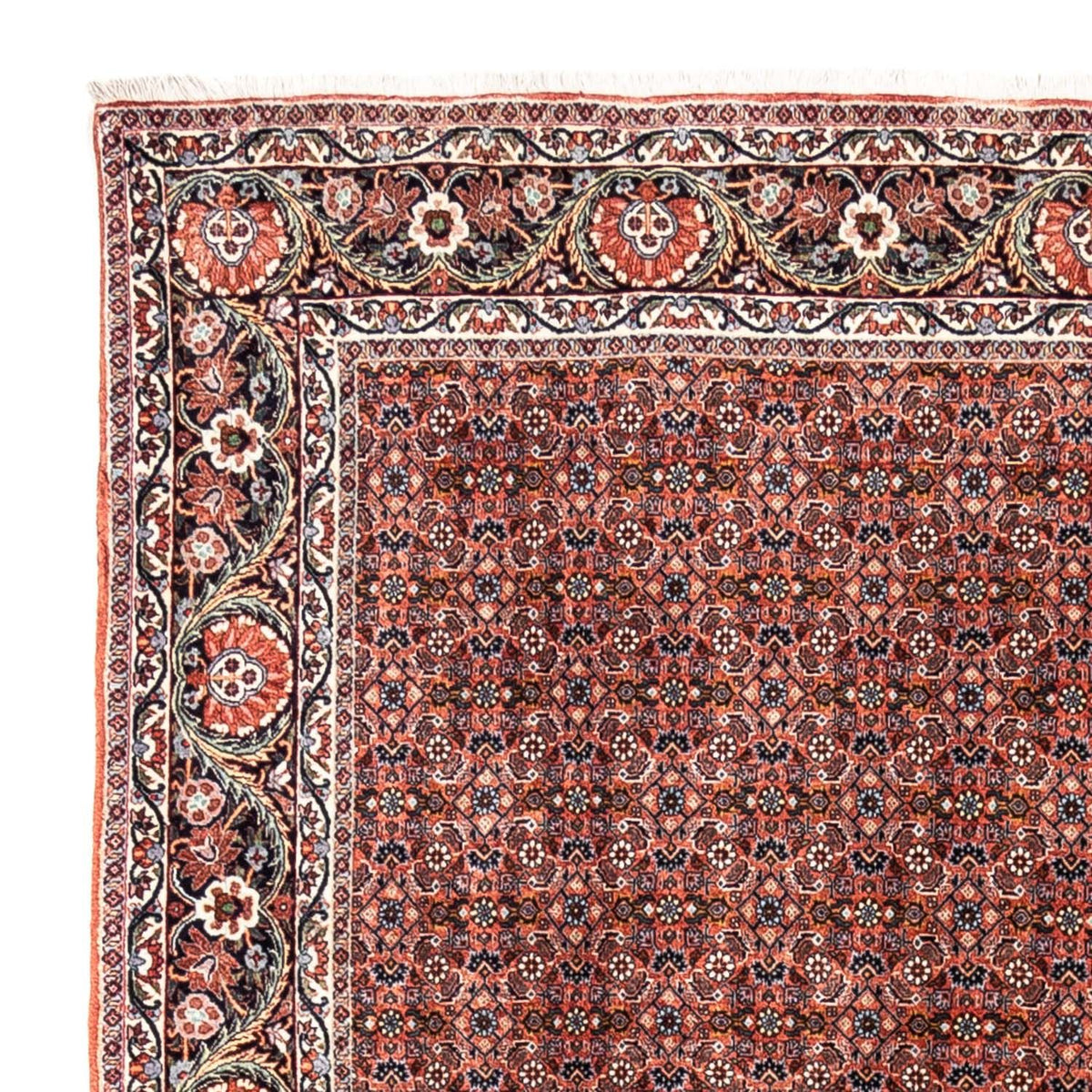 Perserteppich - Bidjar - Royal 288 x 206 cm