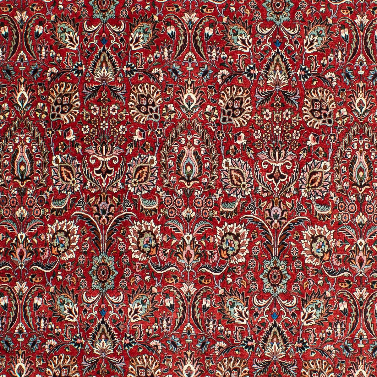 Perserteppich - Bidjar 286 x 202 cm
