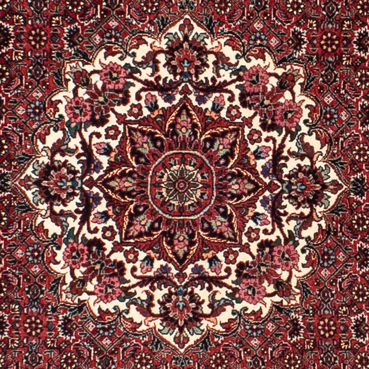 Perserteppich - Bidjar 150 x 150 cm - dunkelrot
