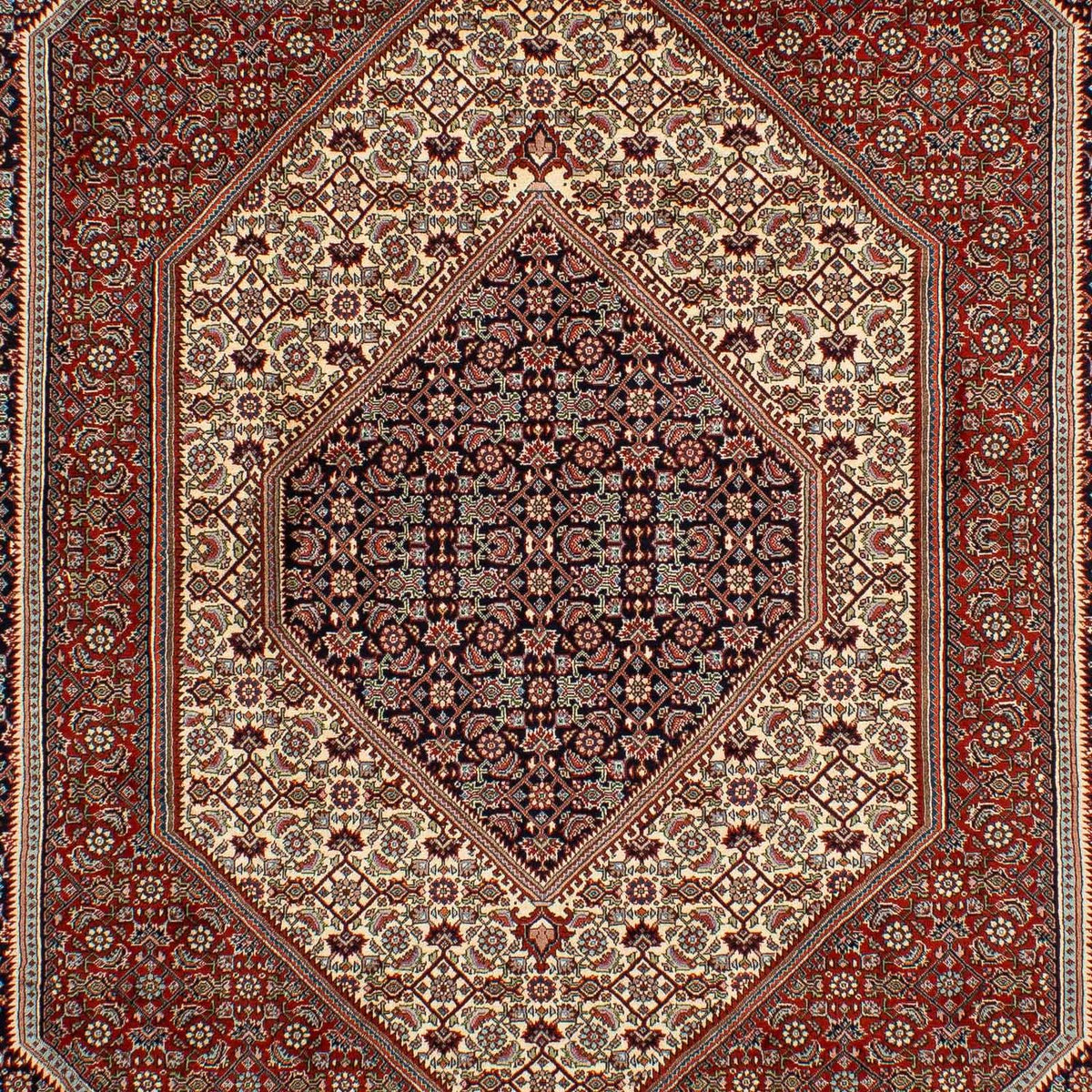 Perserteppich - Bidjar 292 x 210 cm