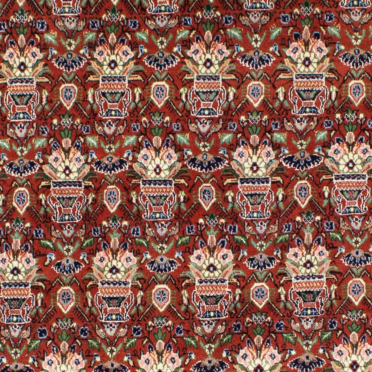 Gabbeh Teppich - Kaschkuli Persern 261 x 175 cm