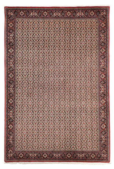 Bidjar Teppich 200x294cm - Perserteppich