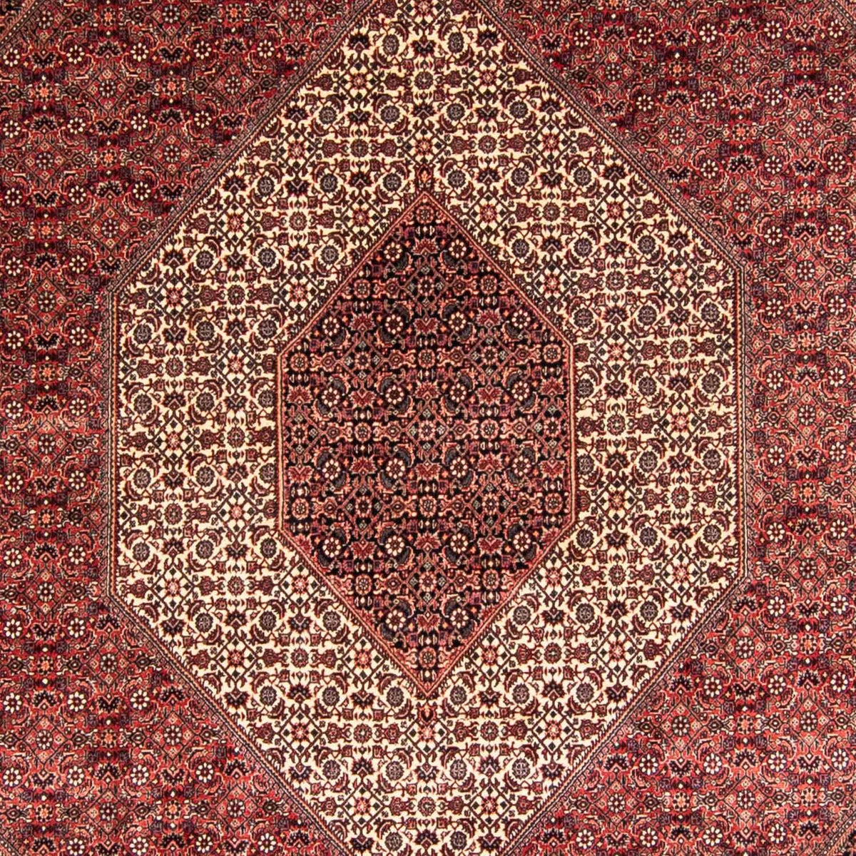 Perserteppich - Bidjar 340 x 252 cm
