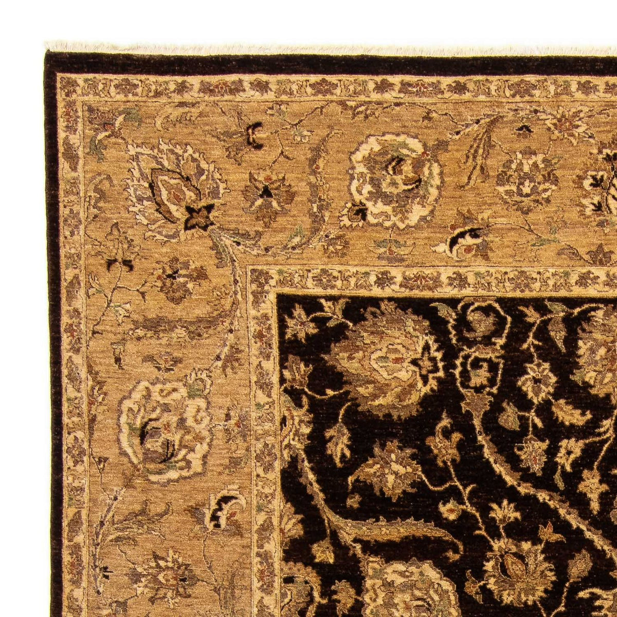 Pakistan Teppich 303 x 242 cm