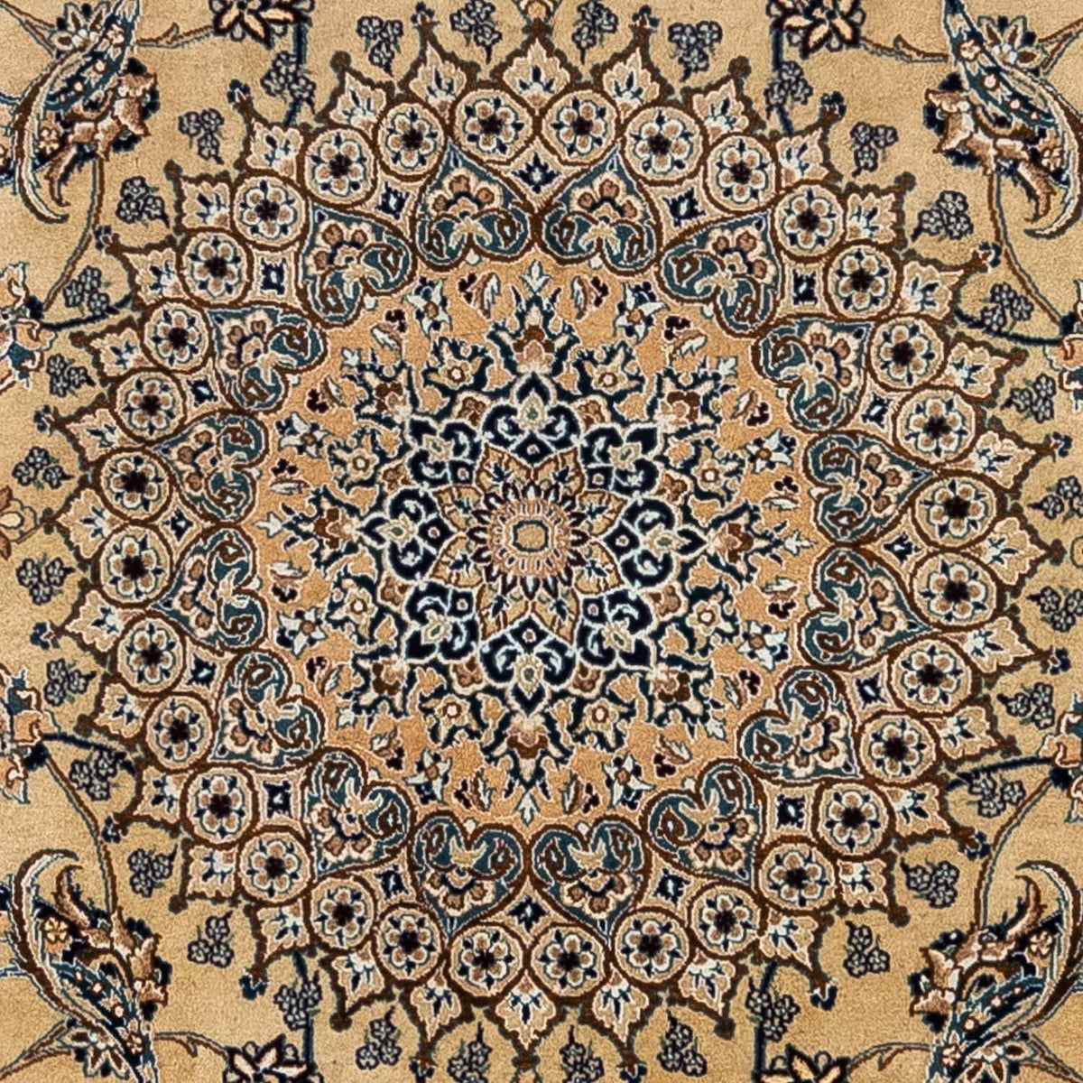 Perserteppich - Nain - Royal 342 x 240 cm