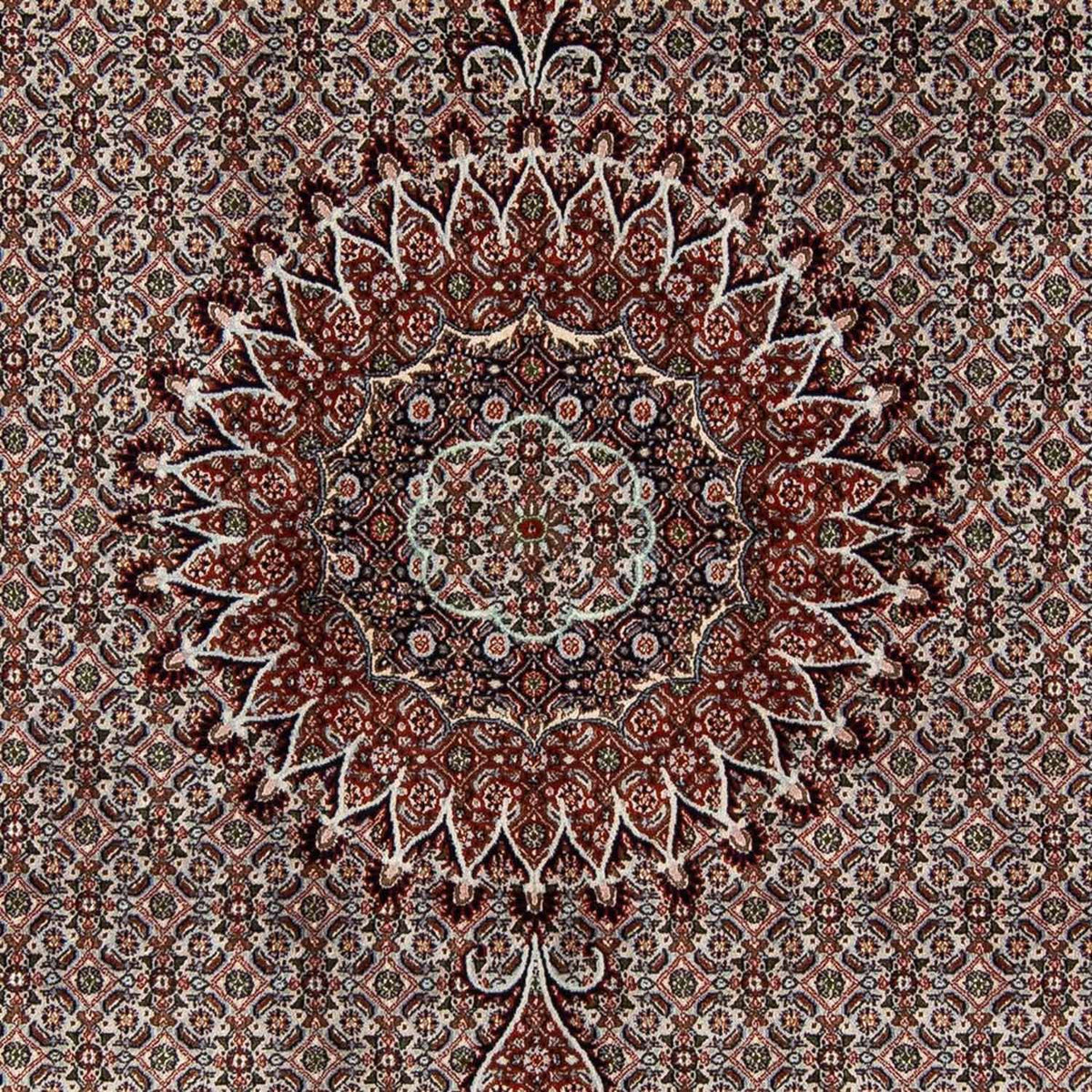 Perserteppich - Classic 284 x 201 cm