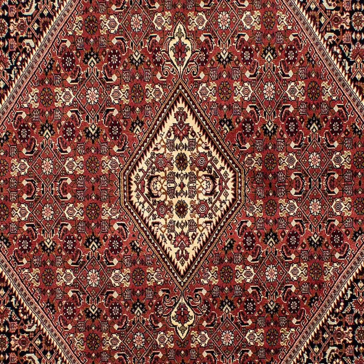 Perserteppich - Bidjar 254 x 176 cm