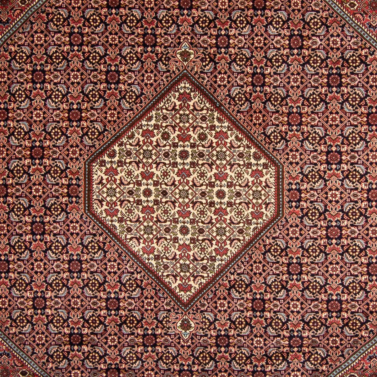 Perserteppich - Bidjar 340 x 252 cm