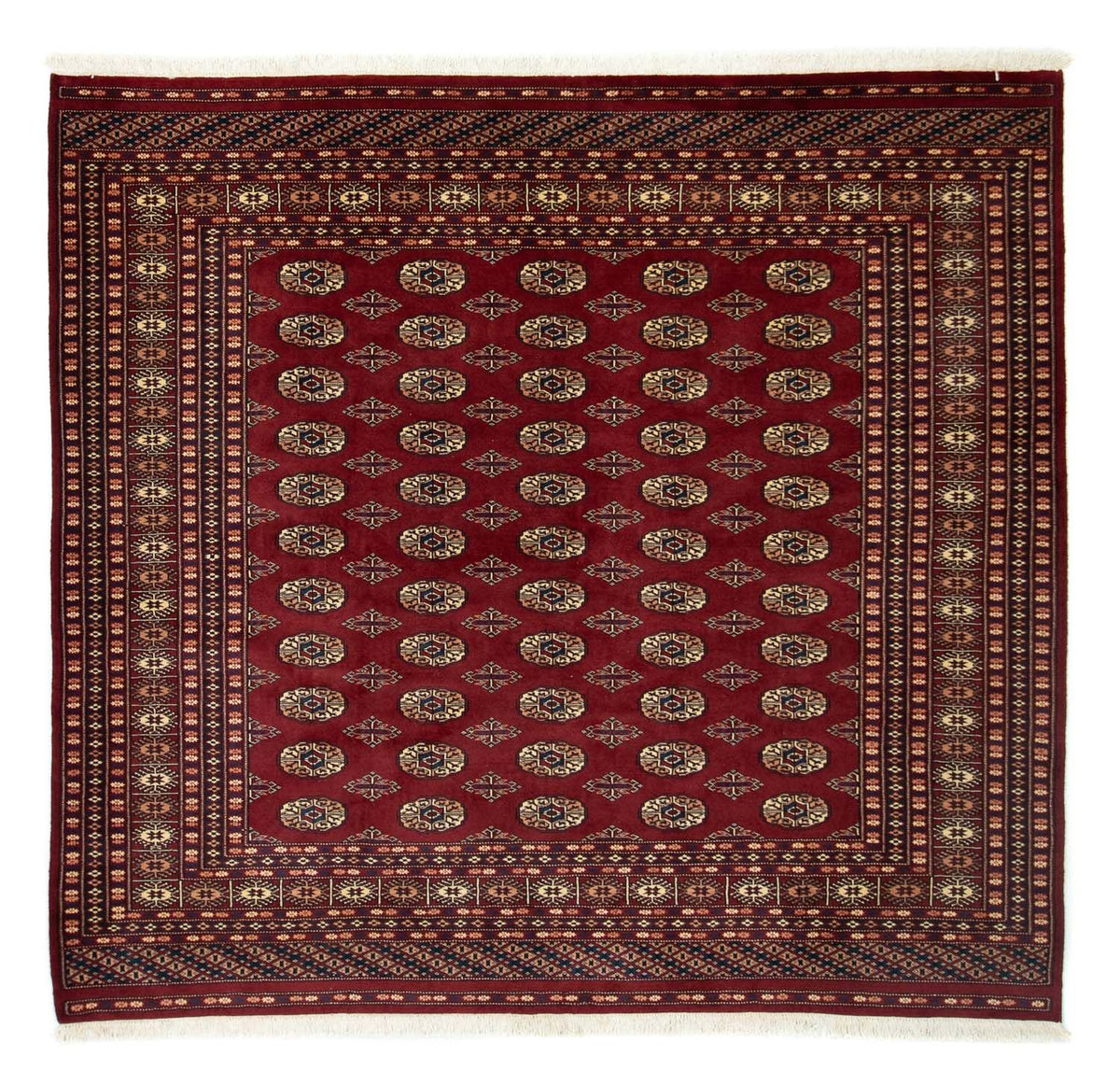 Afghan Teppich - Buchara 205 x 193 cm