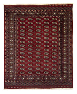 Afghan Teppich - Buchara 241 x 197 cm