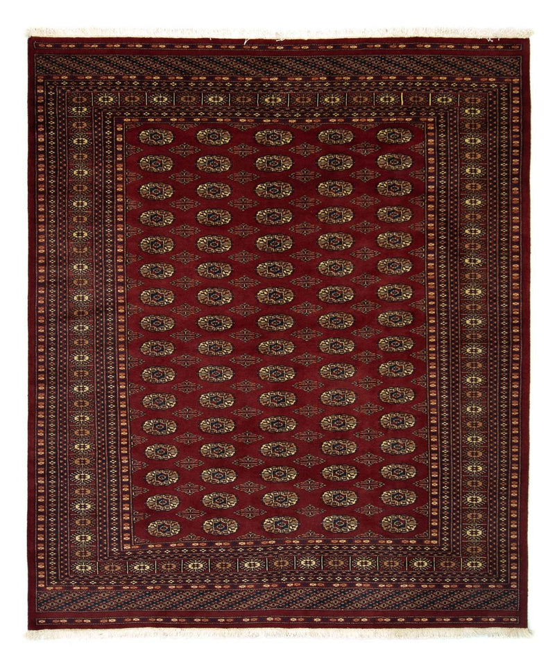 Afghan Teppich - Buchara 240 x 203 cm