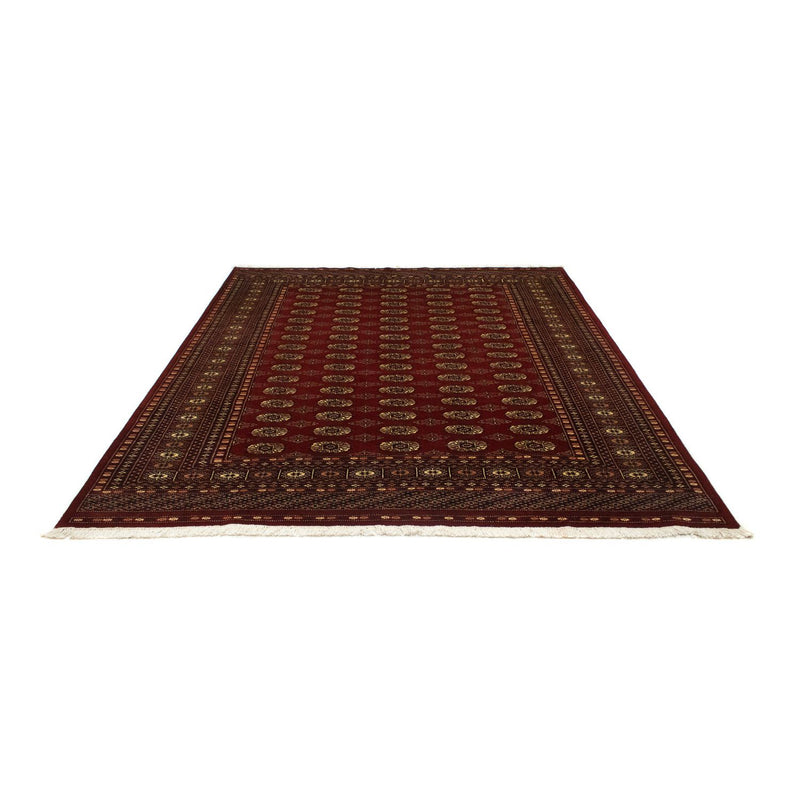 Afghan Teppich - Buchara 240 x 203 cm