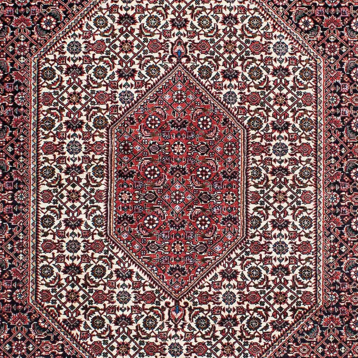 Perserteppich - Bidjar - Royal 211 x 132 cm