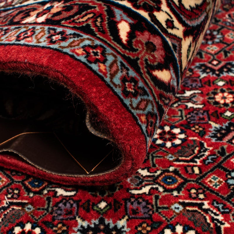 Perserteppich - Bidjar 242 x 203 cm