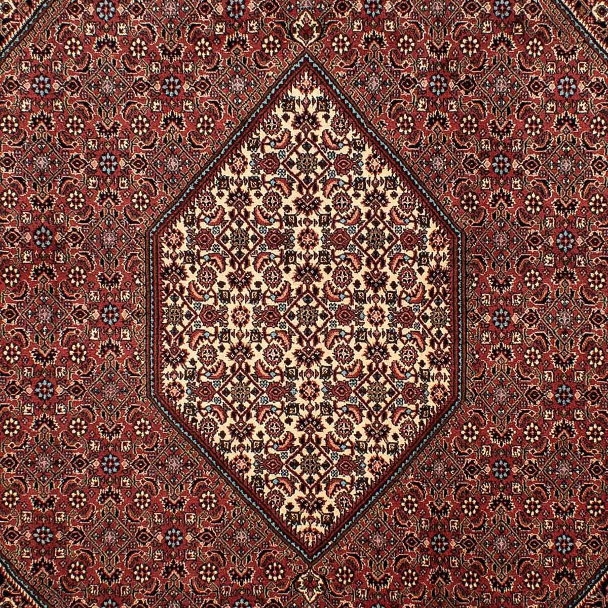 Perserteppich - Bidjar 298 x 206 cm