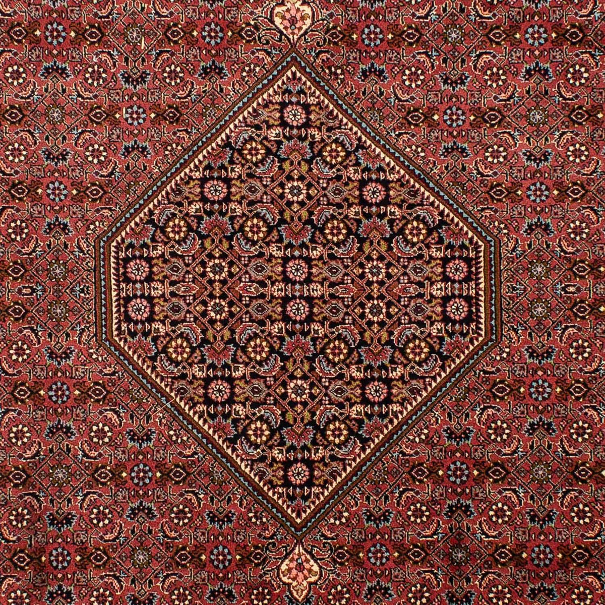 Perserteppich - Bidjar 321 x 197 cm