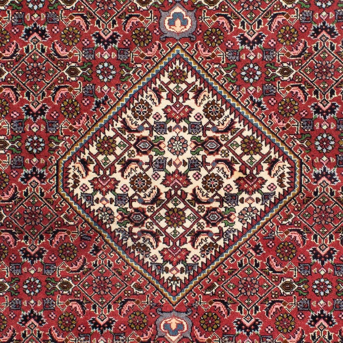 Perserteppich - Bidjar 216 x 137 cm