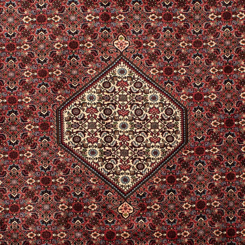 Perserteppich - Bidjar 290 x 203 cm - braun