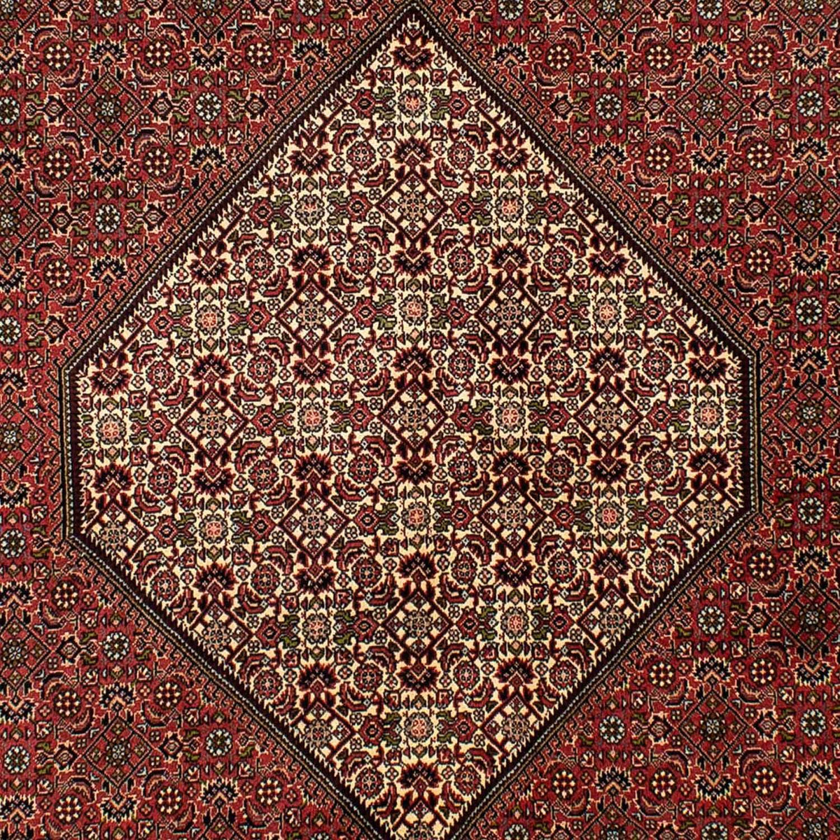 Perserteppich - Bidjar 265 x 171 cm