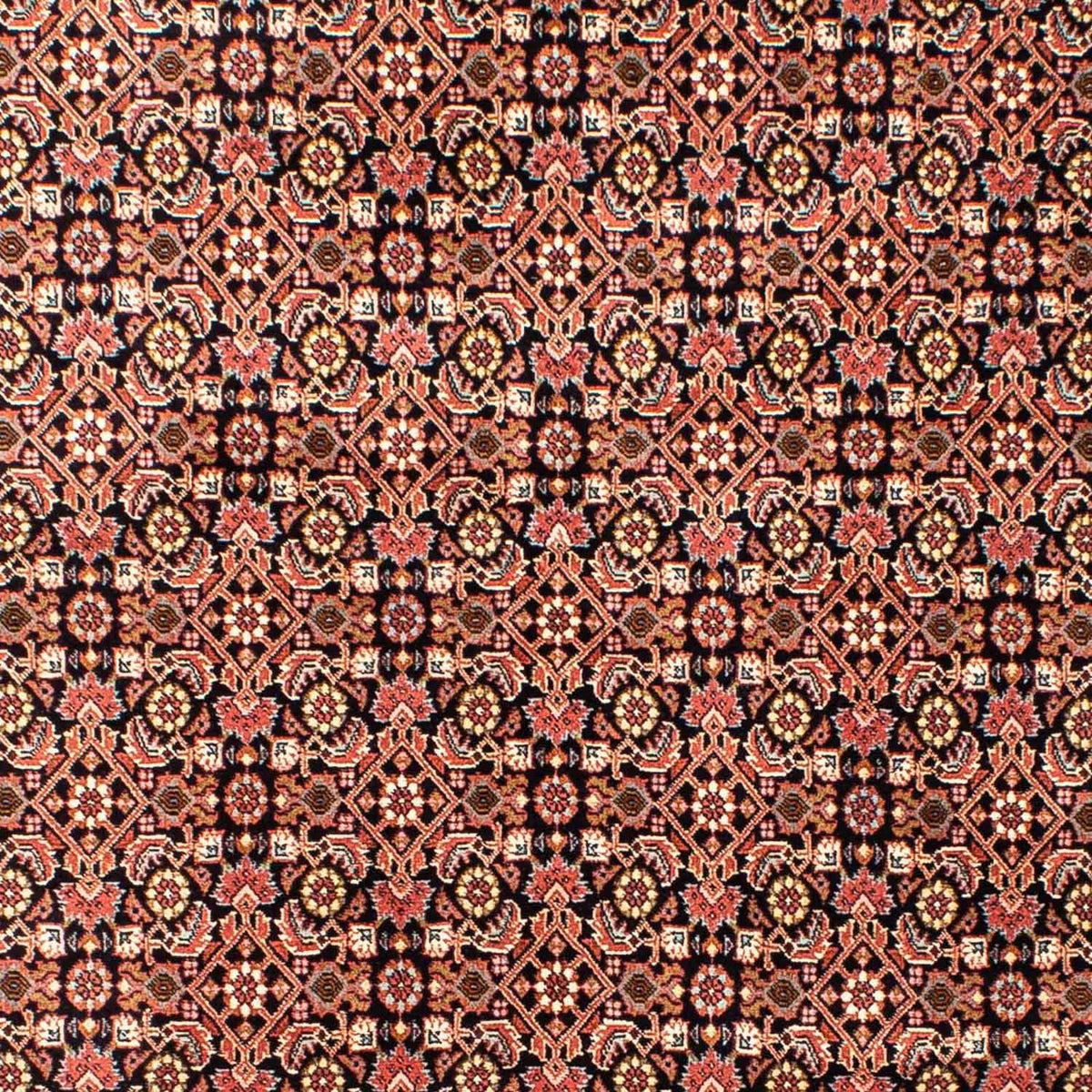 Perserteppich - Bidjar 235 x 170 cm