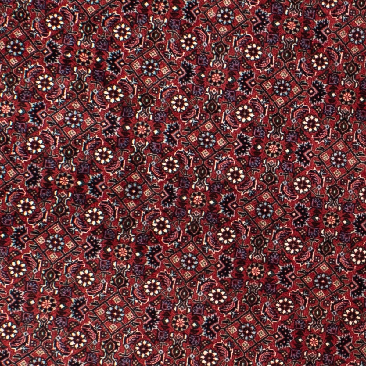 Perserteppich - Bidjar 160 x 160 cm