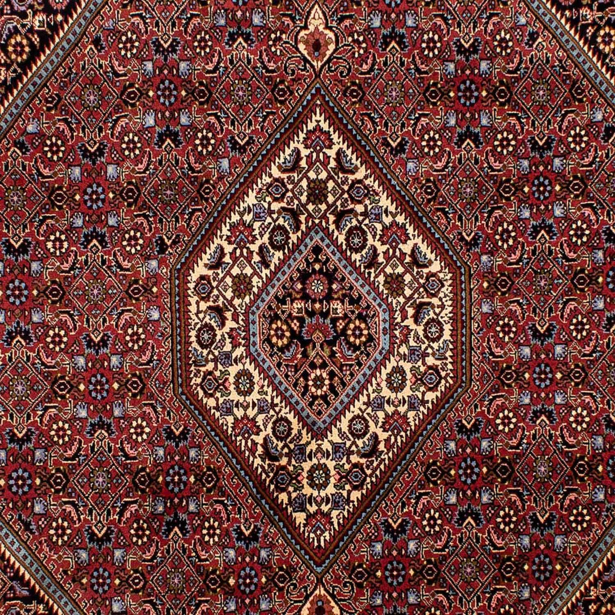 Perserteppich - Bidjar 275 x 203 cm