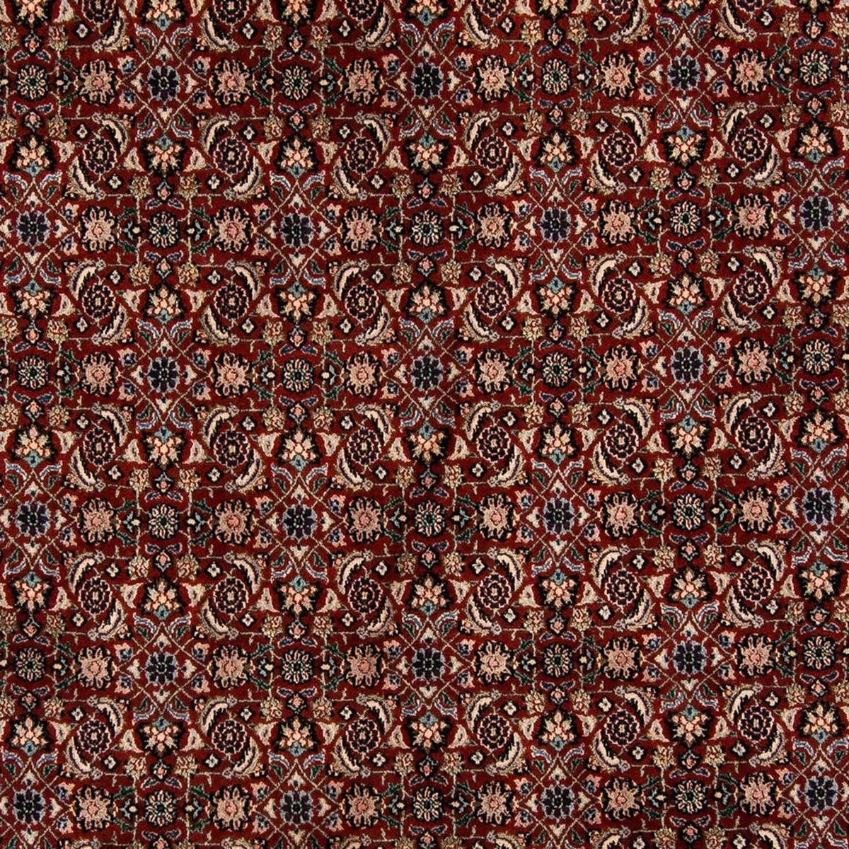 Perserteppich - Classic 294 x 196 cm