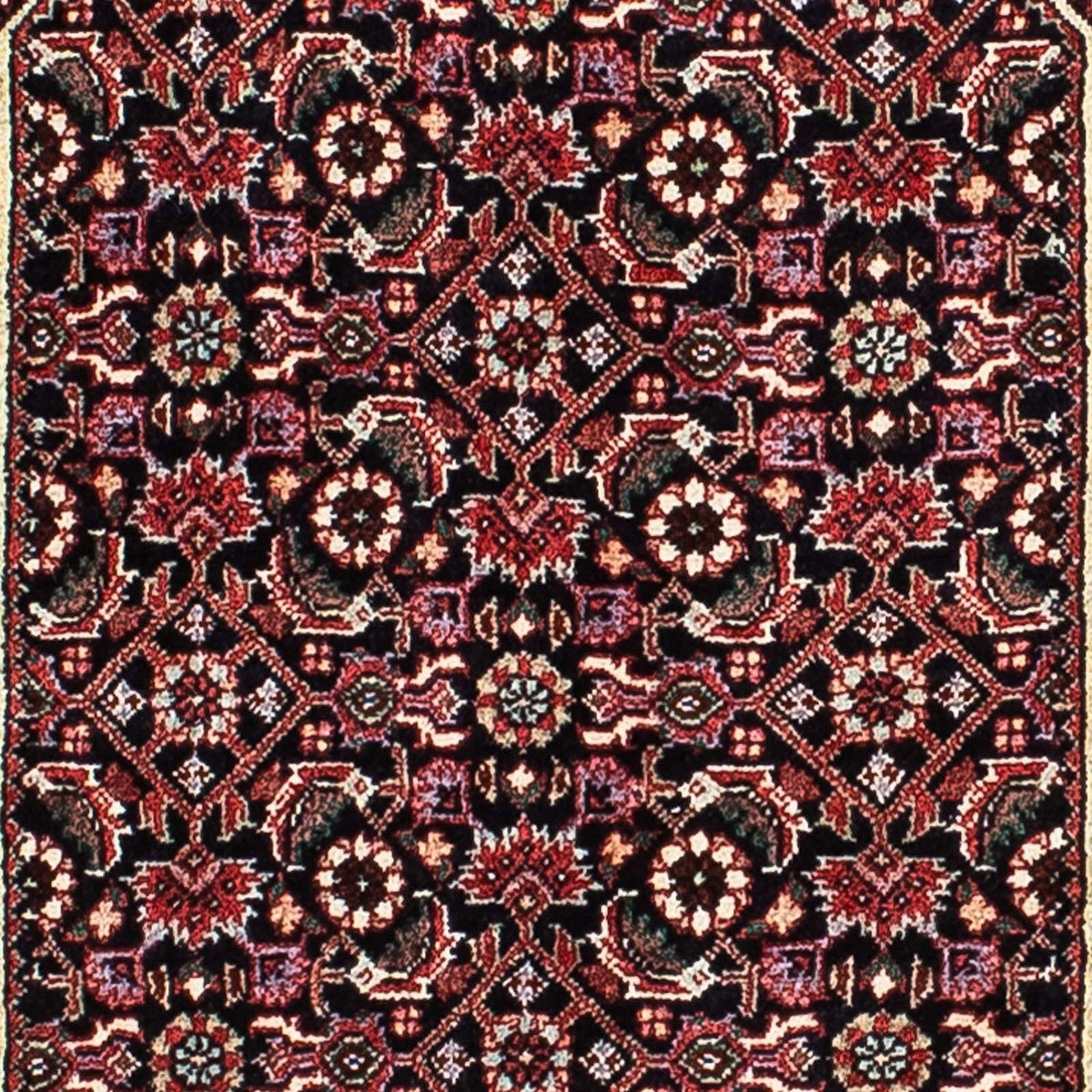 Perserteppich - Bidjar - Royal 205 x 134 cm