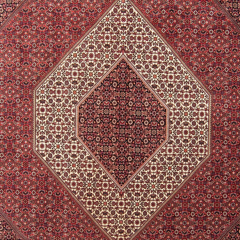 Perserteppich - Bidjar 350 x 254 cm