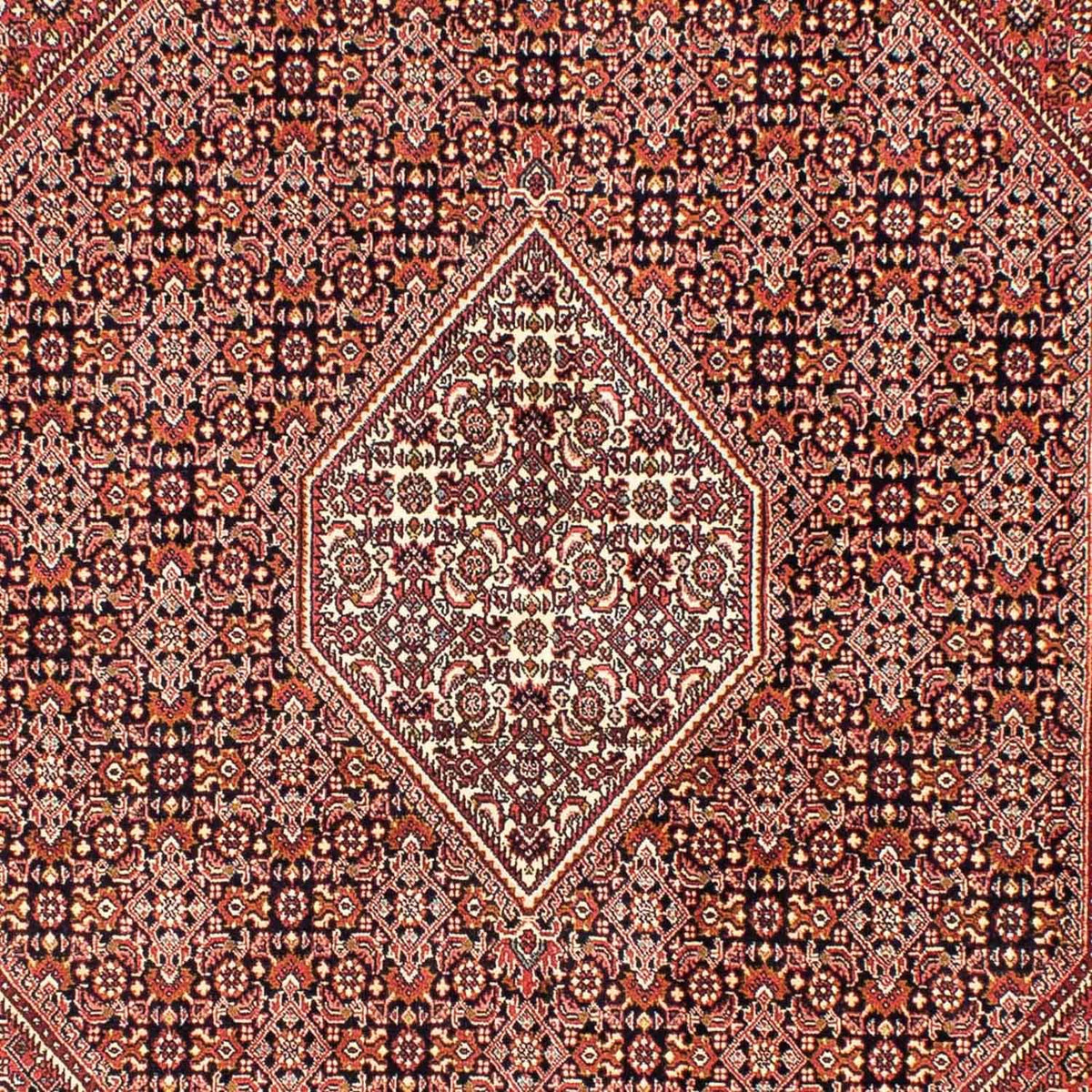 Perserteppich - Bidjar 246 x 171 cm
