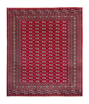 Afghan Teppich - Buchara 303 x 253 cm