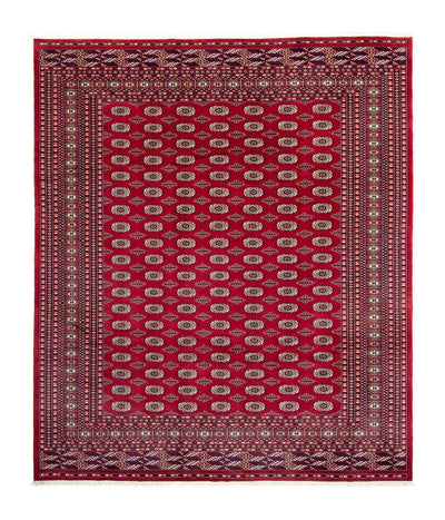Buchara Teppich 253x303cm - Orientteppich