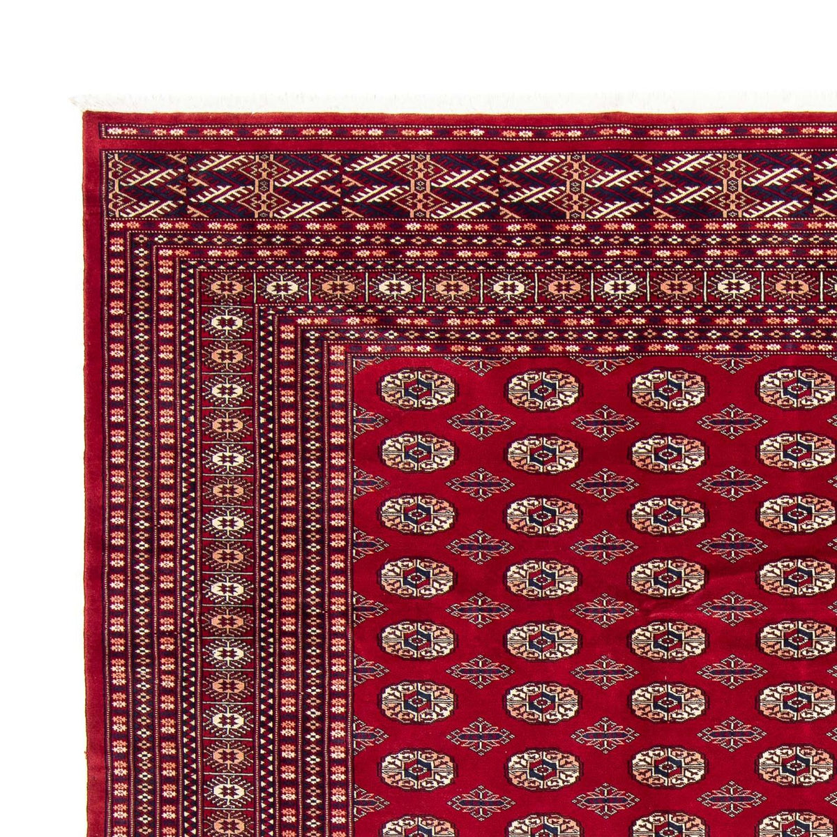 Afghan Teppich - Buchara 303 x 253 cm