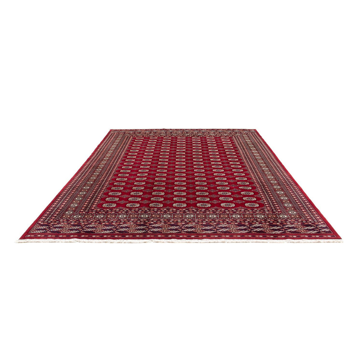 Afghan Teppich - Buchara 303 x 253 cm