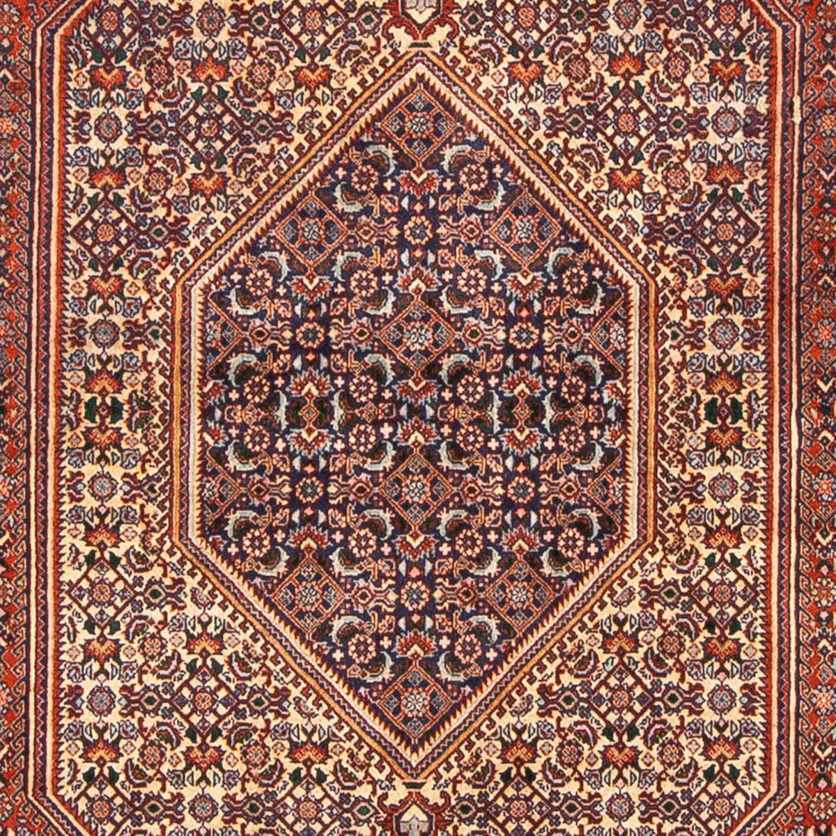 Perserteppich - Bidjar 240 x 138 cm
