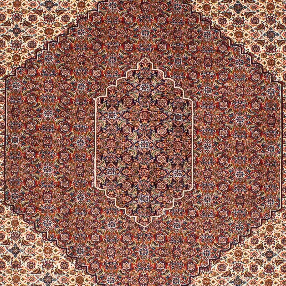 Perserteppich - Nomadic 250 x 161 cm