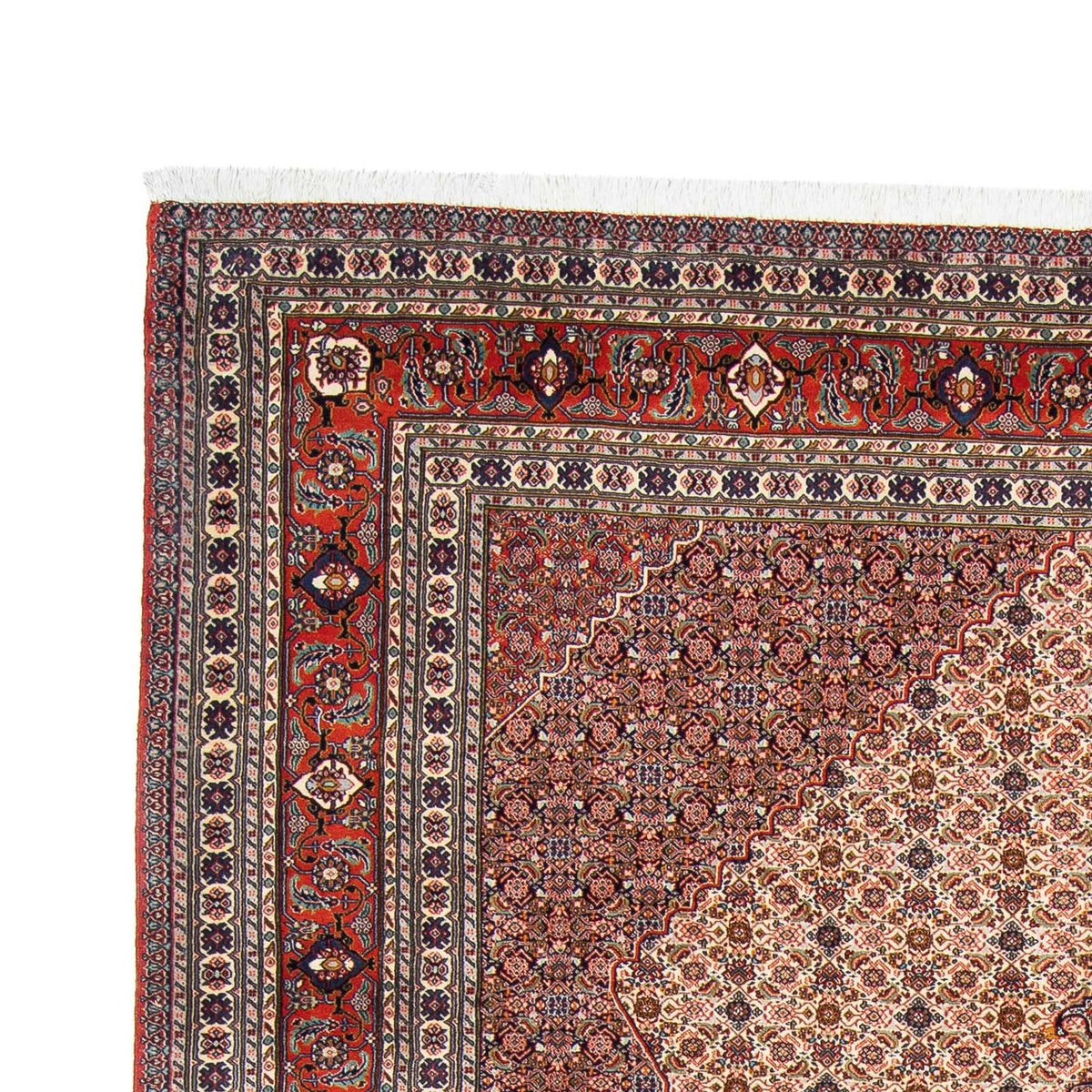 Perserteppich - Nomadic 313 x 212 cm