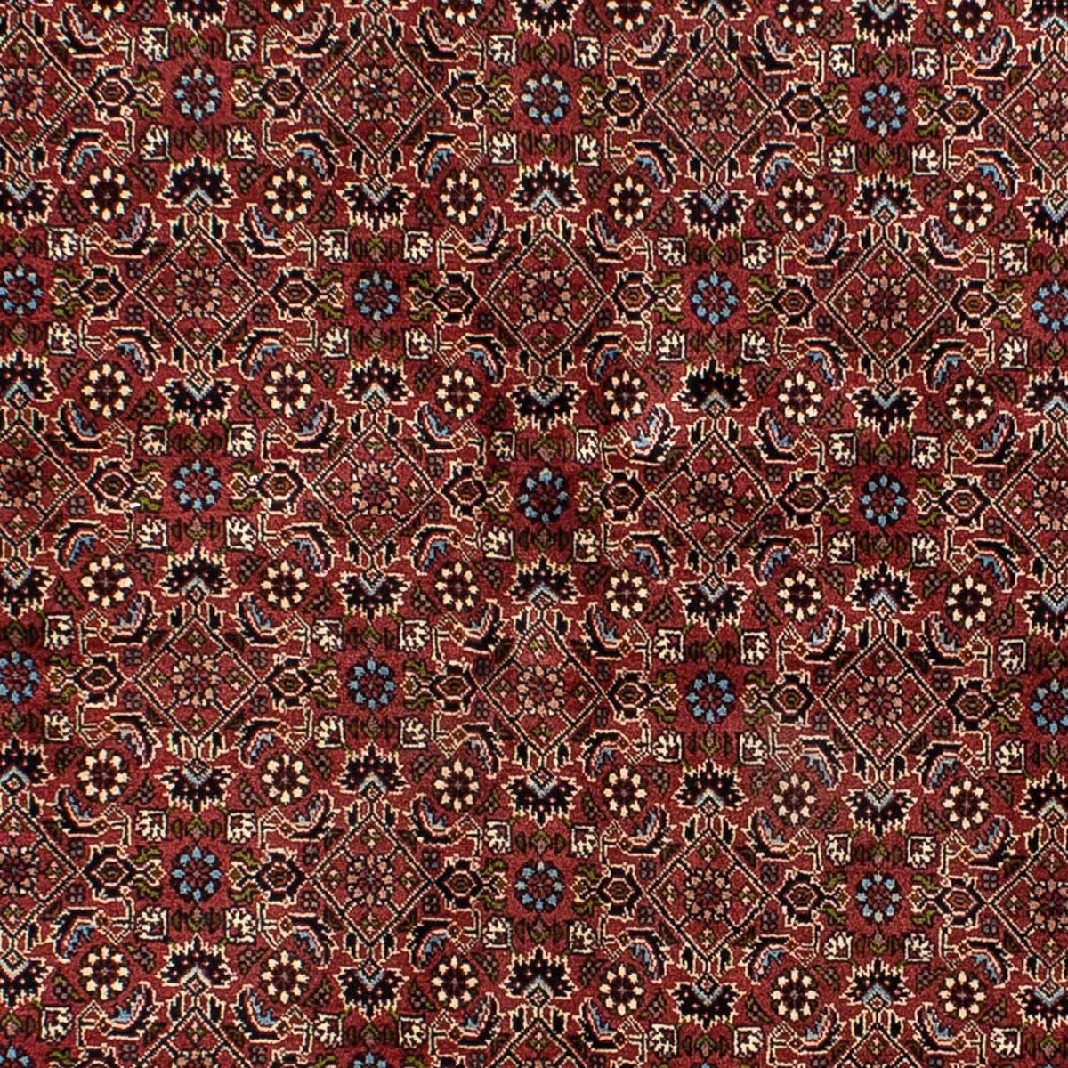 Perserteppich - Bidjar 205 x 141 cm