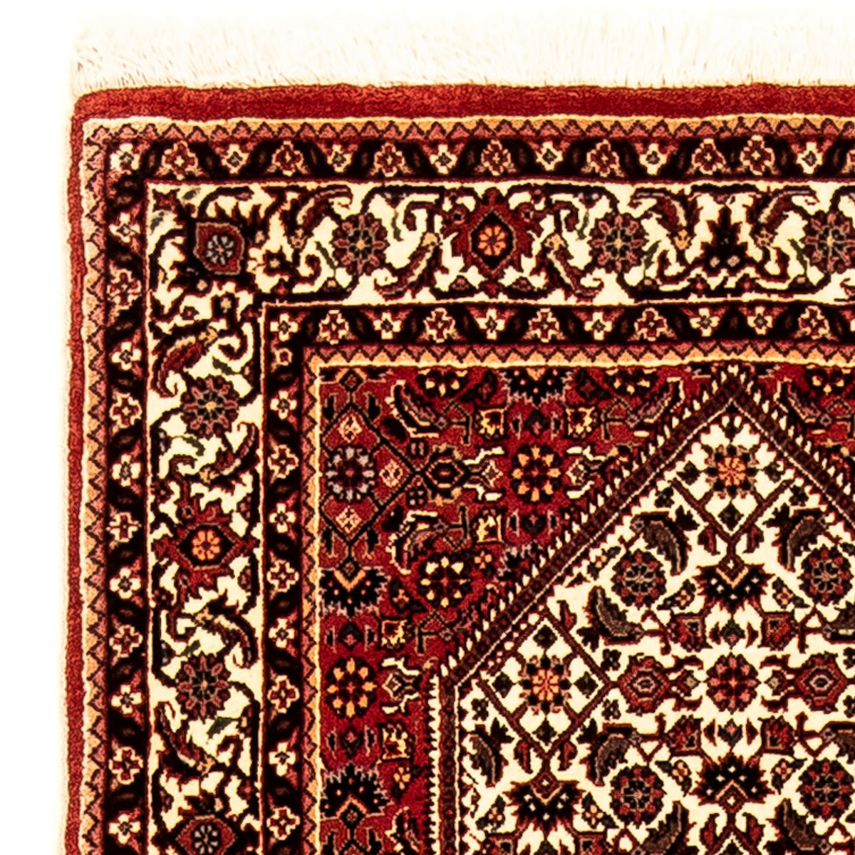 Perserteppich - Bidjar 247 x 73 cm