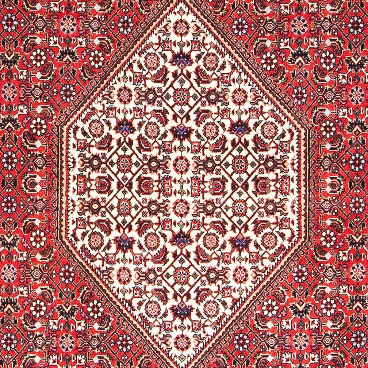 Perserteppich - Bidjar - Royal 175 x 108 cm - rot