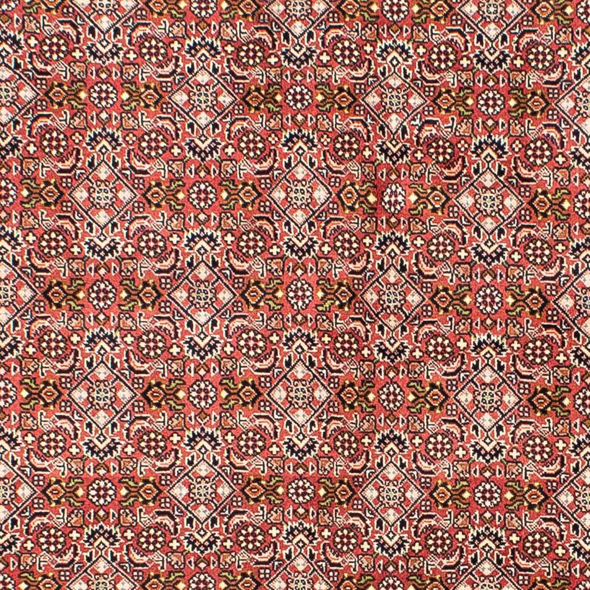 Perserteppich - Bidjar 215 x 136 cm