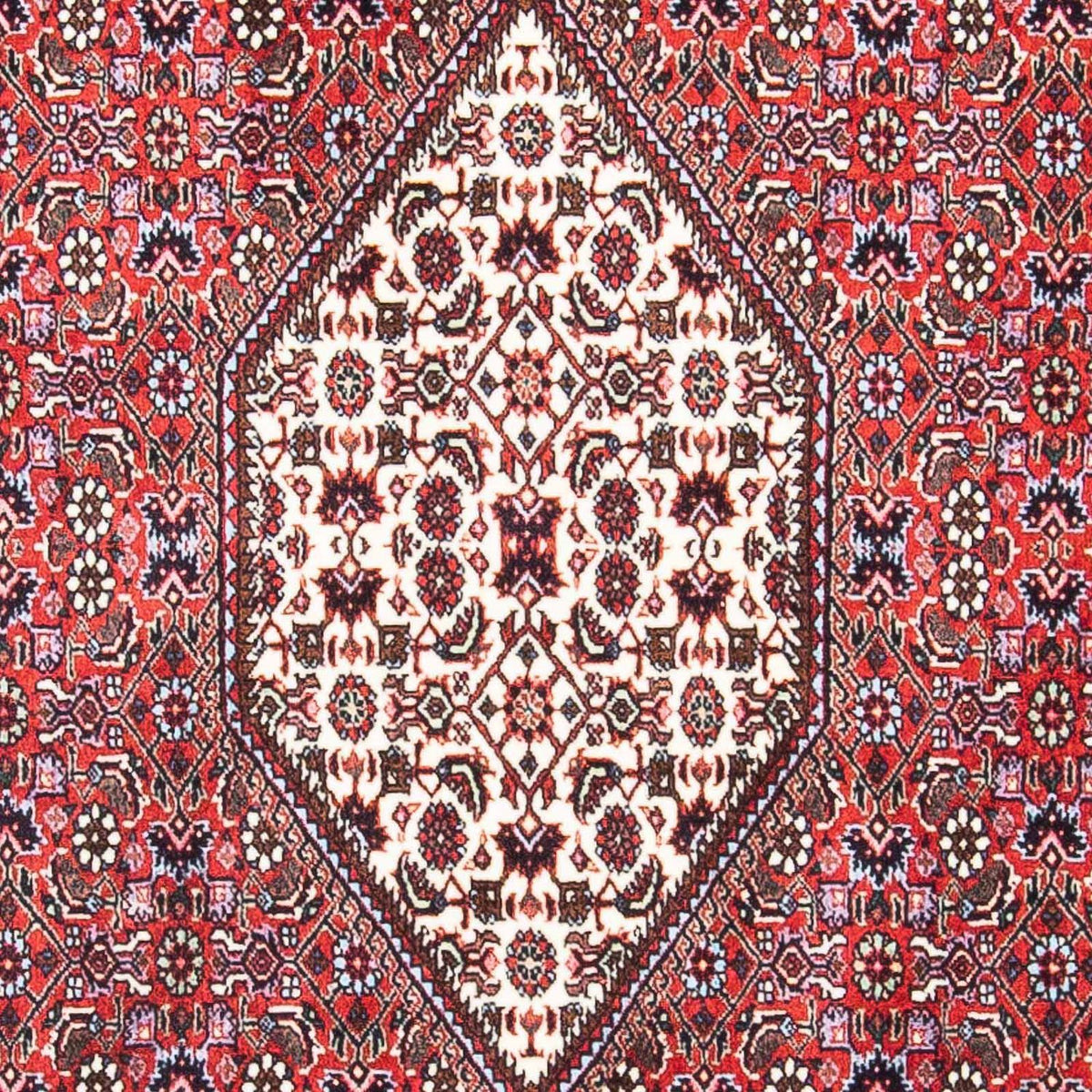 Perserteppich - Bidjar - Royal 169 x 106 cm