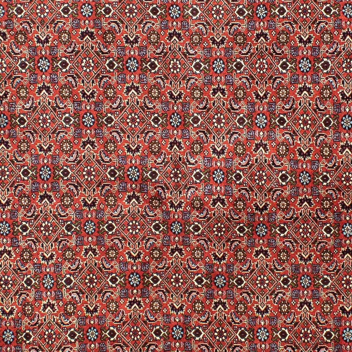 Perserteppich - Bidjar 288 x 202 cm