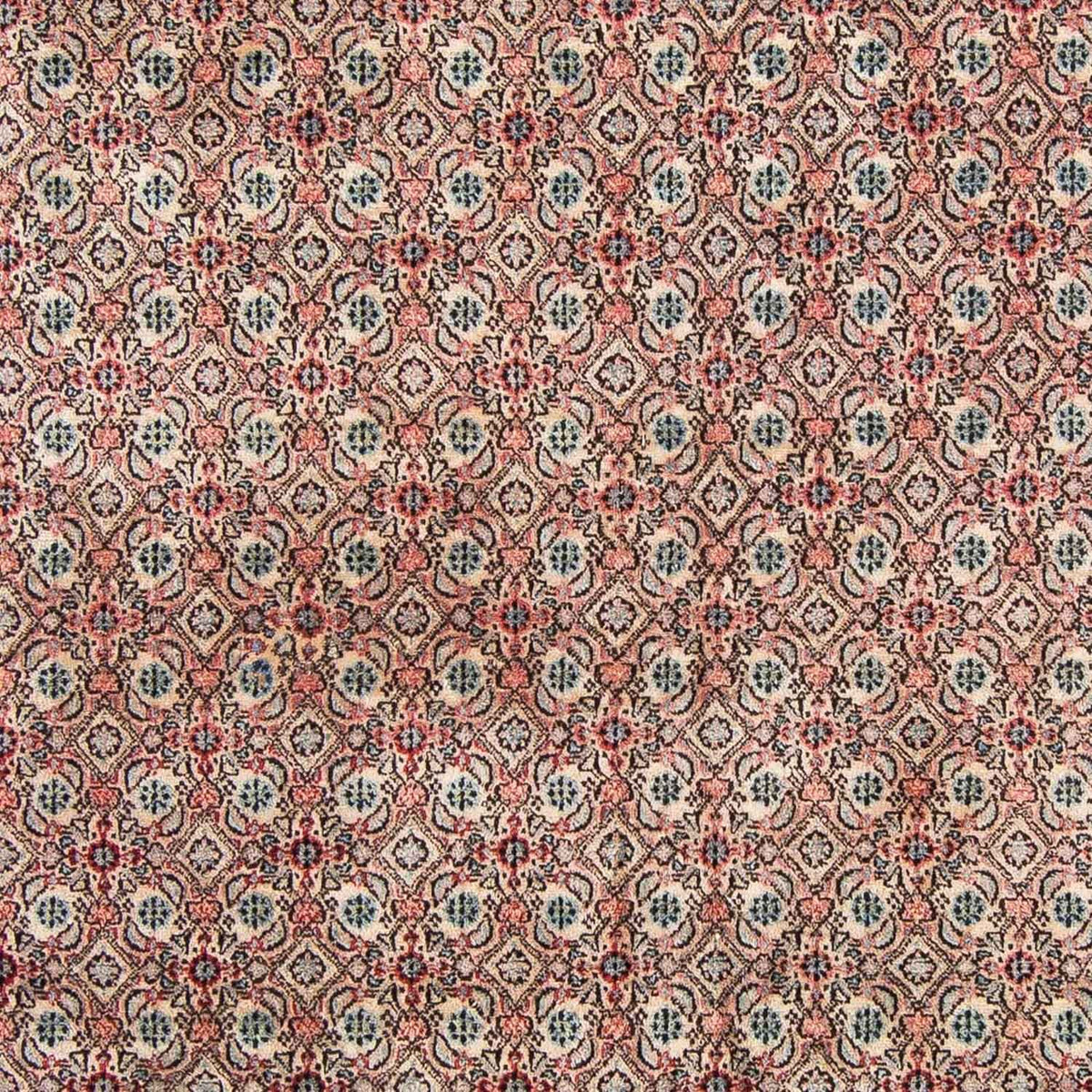 Perserteppich - Classic 296 x 207 cm
