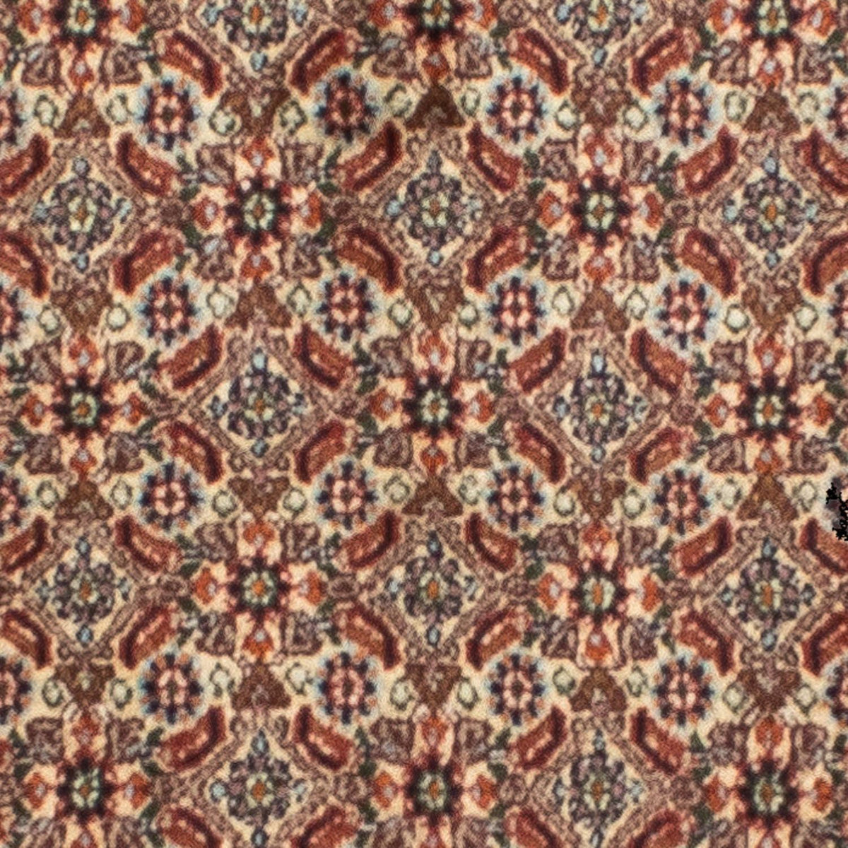 Perserteppich - Classic 246 x 80 cm