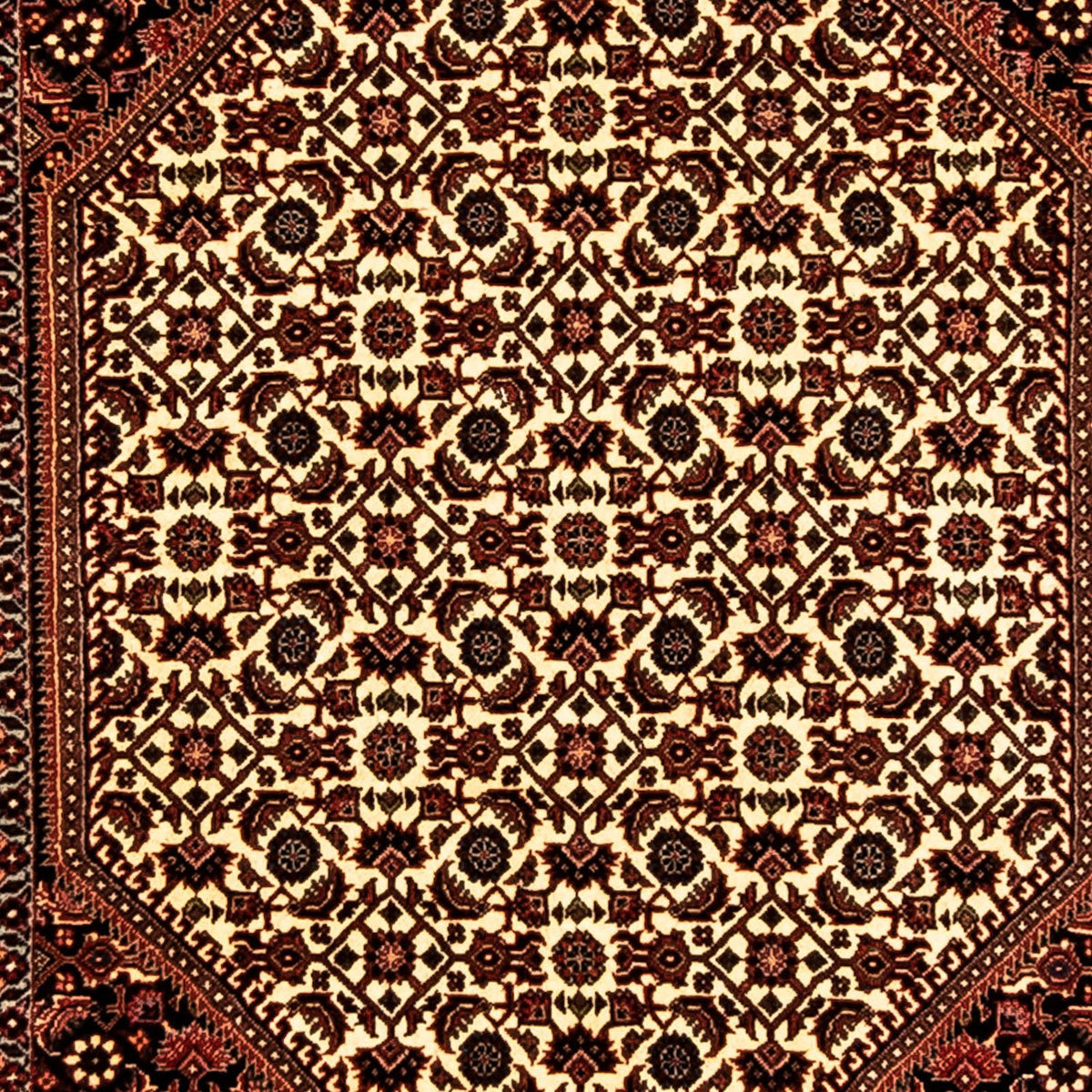 Perserteppich - Bidjar 316 x 81 cm