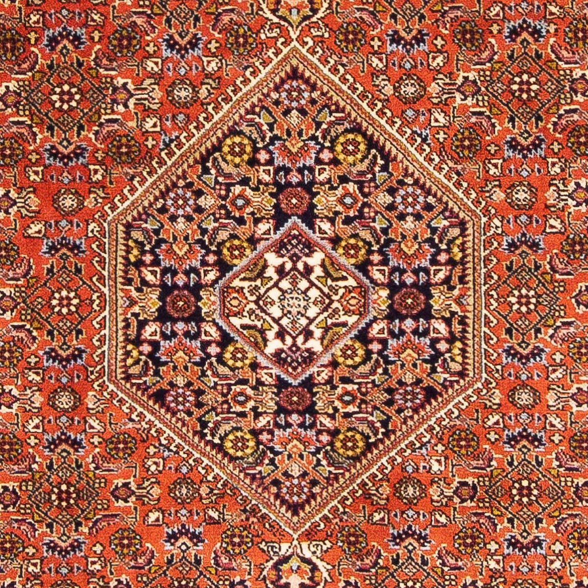 Perserteppich - Bidjar - Royal 162 x 106 cm - rosa