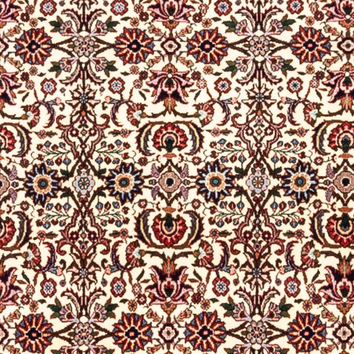 Perserteppich - Bidjar - Royal 300 x 201 cm