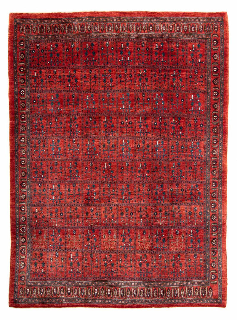 Gabbeh Teppich - Kaschkuli Persern 345 x 260 cm